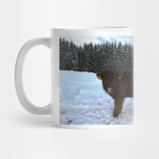 Scottish Highland Cattle Calf 1646 Mug